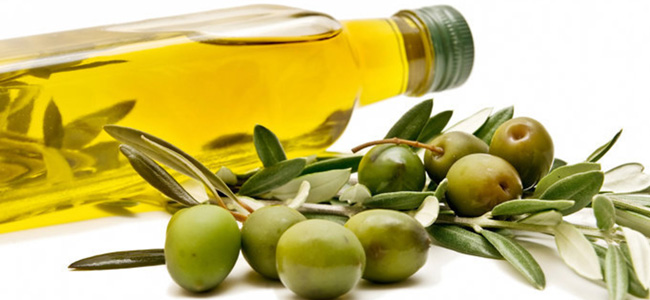 کلیه امورات مربوط به زیتون